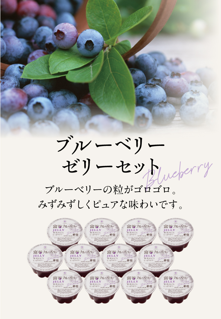 blueberry_banner_sp.jpg
